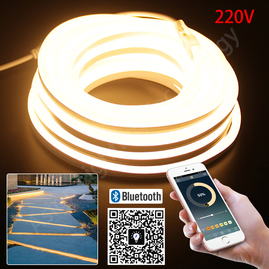 Outdoor Lighting Timer Switch - LED-Neonstreifen, 220 V, 2835, 120 LEDs/m,
