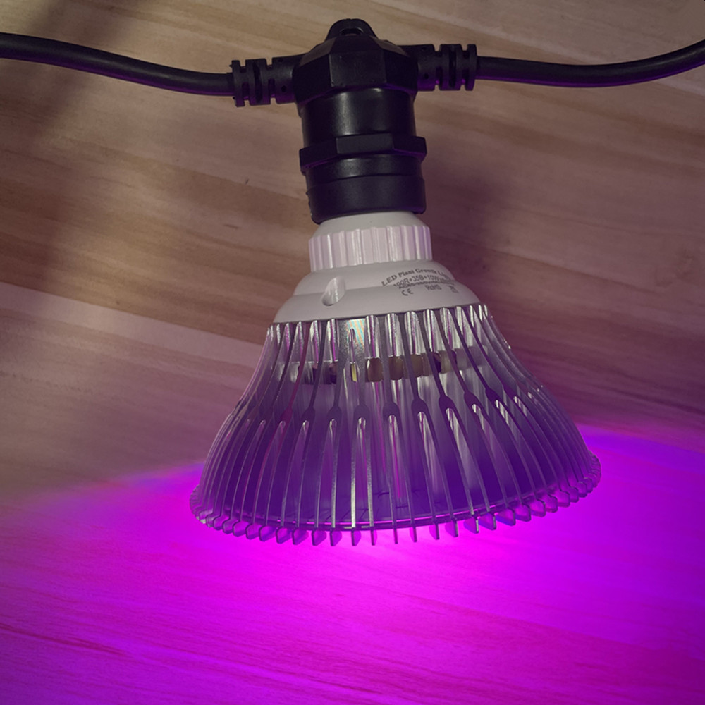 10 m langes LED-Kabel, wasserd – Lighting Wedding Outdoor Bewertung und Preis