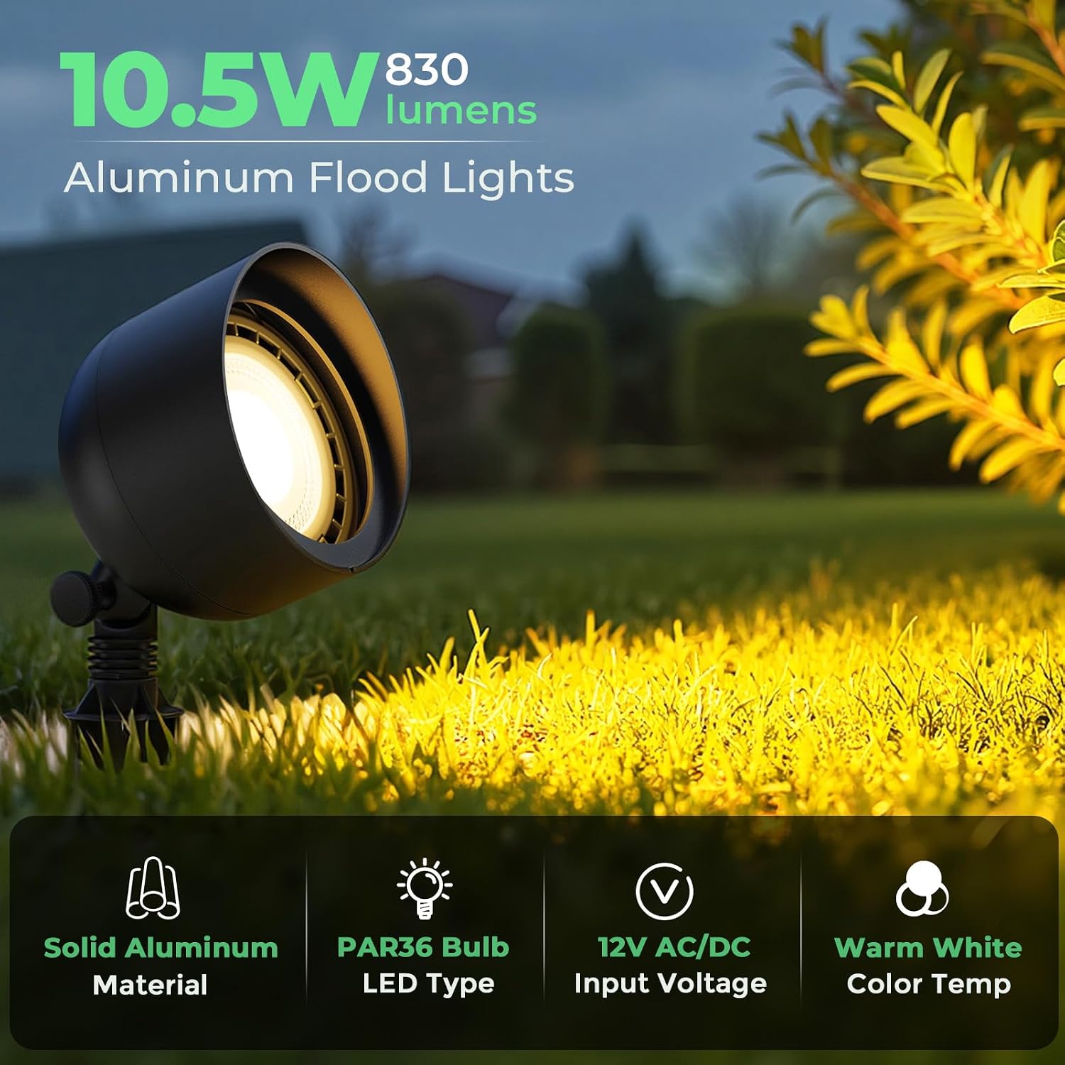 Niederspannungs-LED-Flutlicht  – Outdoor Lighting Low Voltage Bewertung und Preis